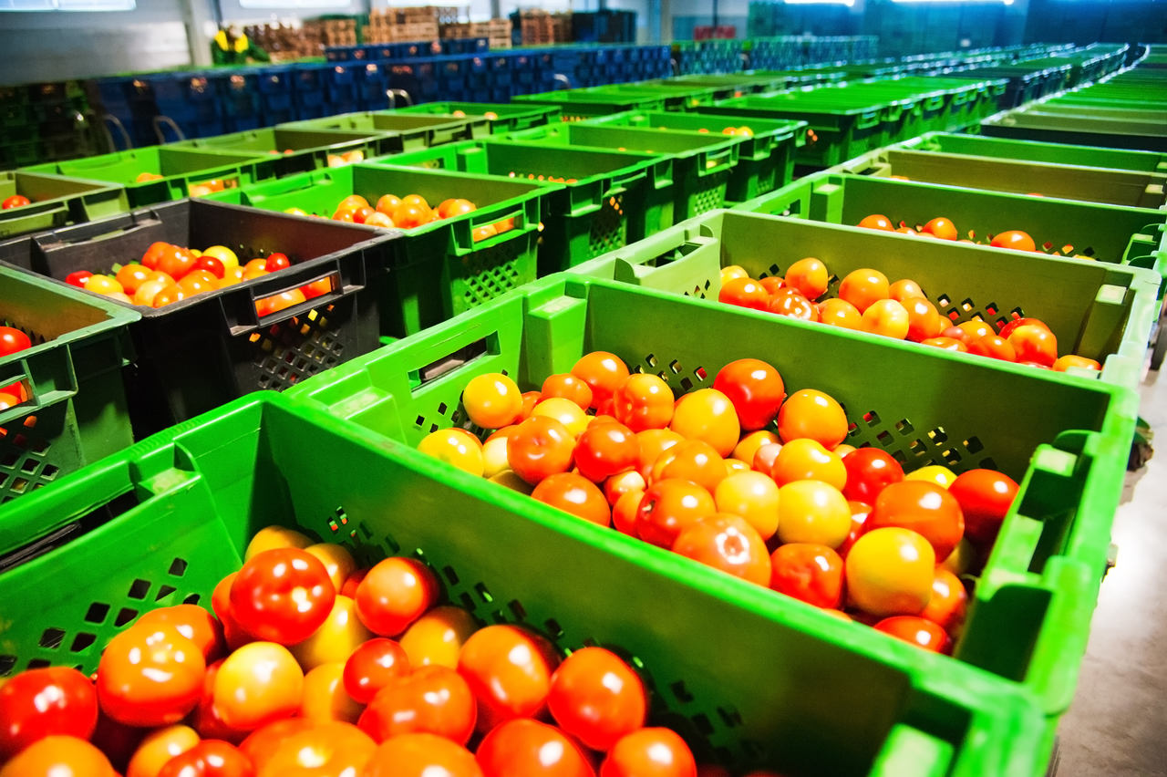 Dlaczego lepiej kupować żywność od lokalnych wytwórców, niż w supermarketach?